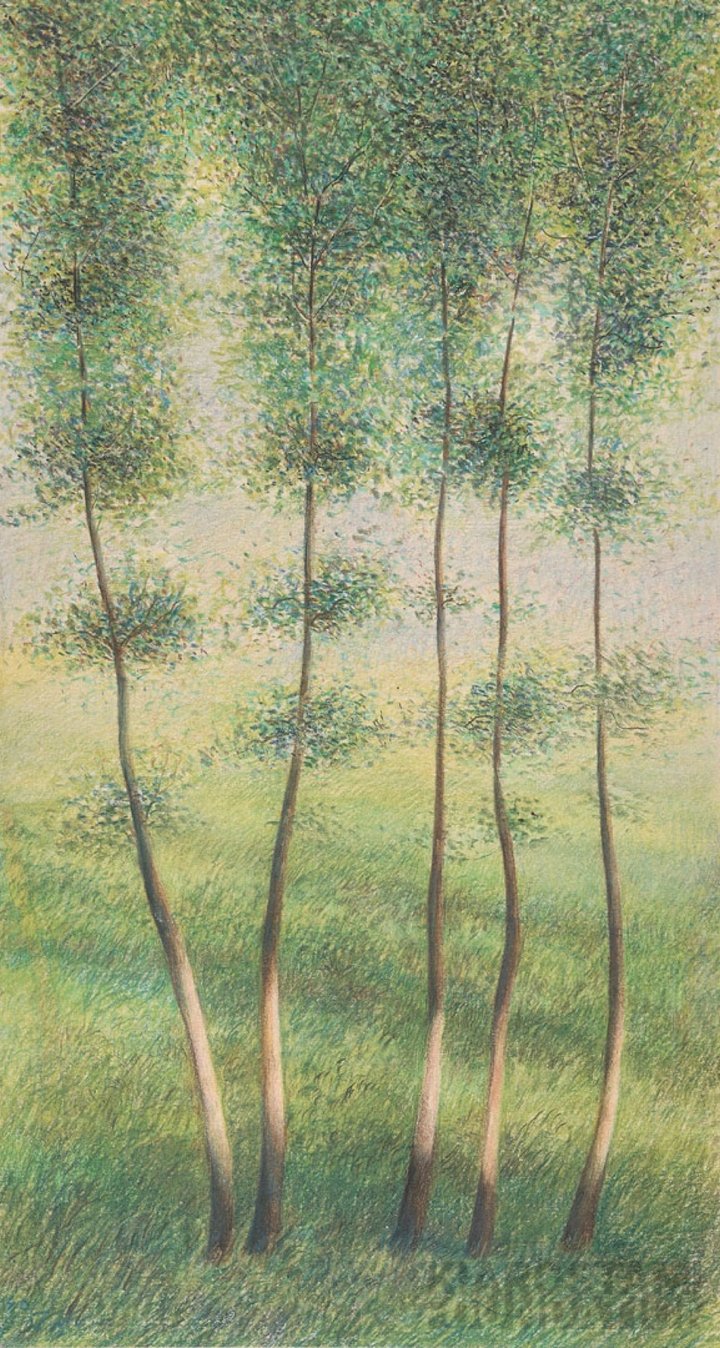 #15