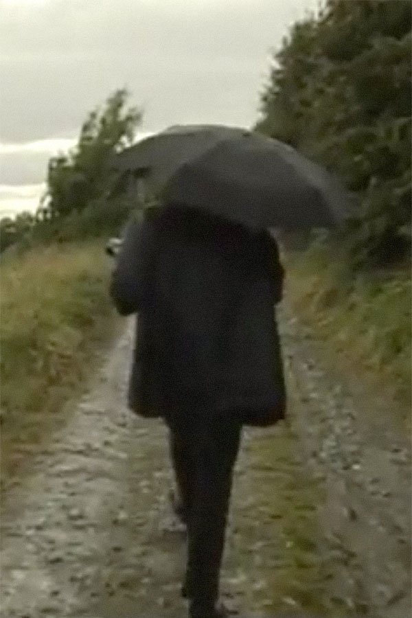 A Walk with Kiarostami